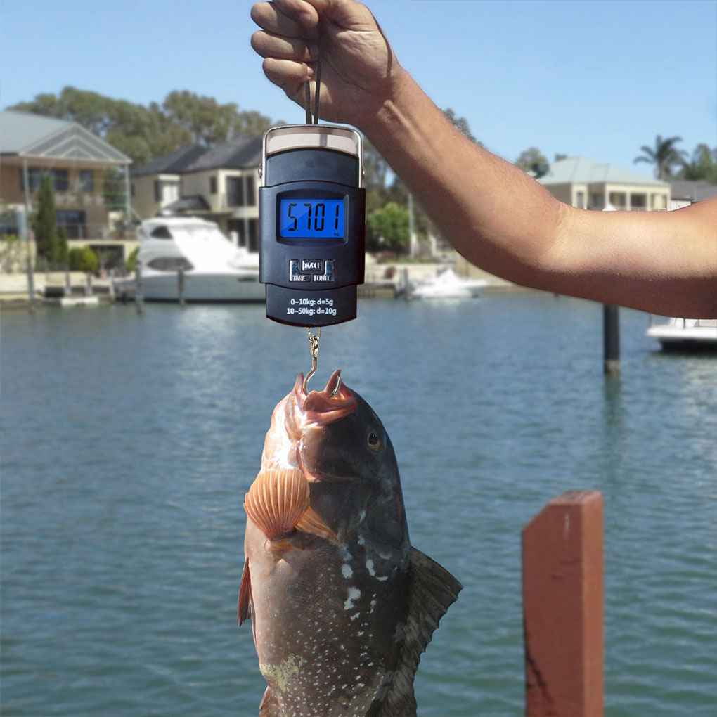 Elenxs 50Kg Digital Hanging Fish Scale Pocket Luggage Scale Handheld Electronic LCD Backlight Weighing Scale