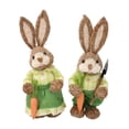 thumbnail image 2 of Figuritas de Animal Soledad 2 piezas Artesanía Decoración Foto Props Paja Conejo de Pascua, 2 of 9
