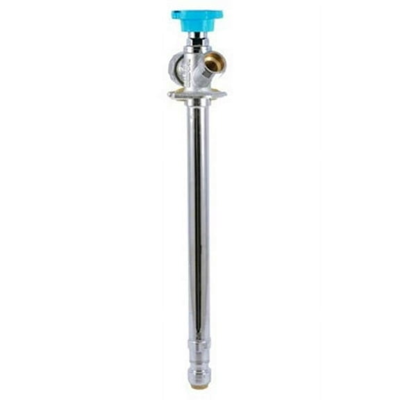 0.5 x 0.75 x 10 in. Antisiphon Frost-Proof Sillcock