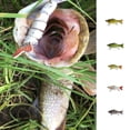 thumbnail image 3 of Multi Sections 2 Triple Claws Hooks Artificial Fish Shape Bait Lifelike Fishing Spinner Fishhook, 3 of 9
