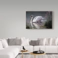 thumbnail image 3 of Trademark Fine Art 'Summer Idyll Mute Swan' Canvas Art by Wilhelm Goebel, 3 of 3
