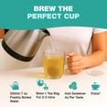 thumbnail image 5 of HANDPICK, Spearmint Tea Bags (100 Herbal Tea Bags) |Refreshing Mint Tea | Non-GMO | Round Eco-Conscious Teabags, 5 of 10