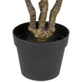 thumbnail image 5 of Northlight 34" Artificial Orange Citrus Tree in Black Pot, 5 of 5