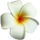 thumbnail image 3 of 20 Pieces Water Floating Plumeria Artificial Flower Frangipani For Pool, 3 of 5