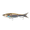 Live HD Mullet, variant on 6th Sense Speed Draw 5.5 in Saltwater 3-Joint Glide Bait Inshore Fishing Lure with Natural Swimming Action