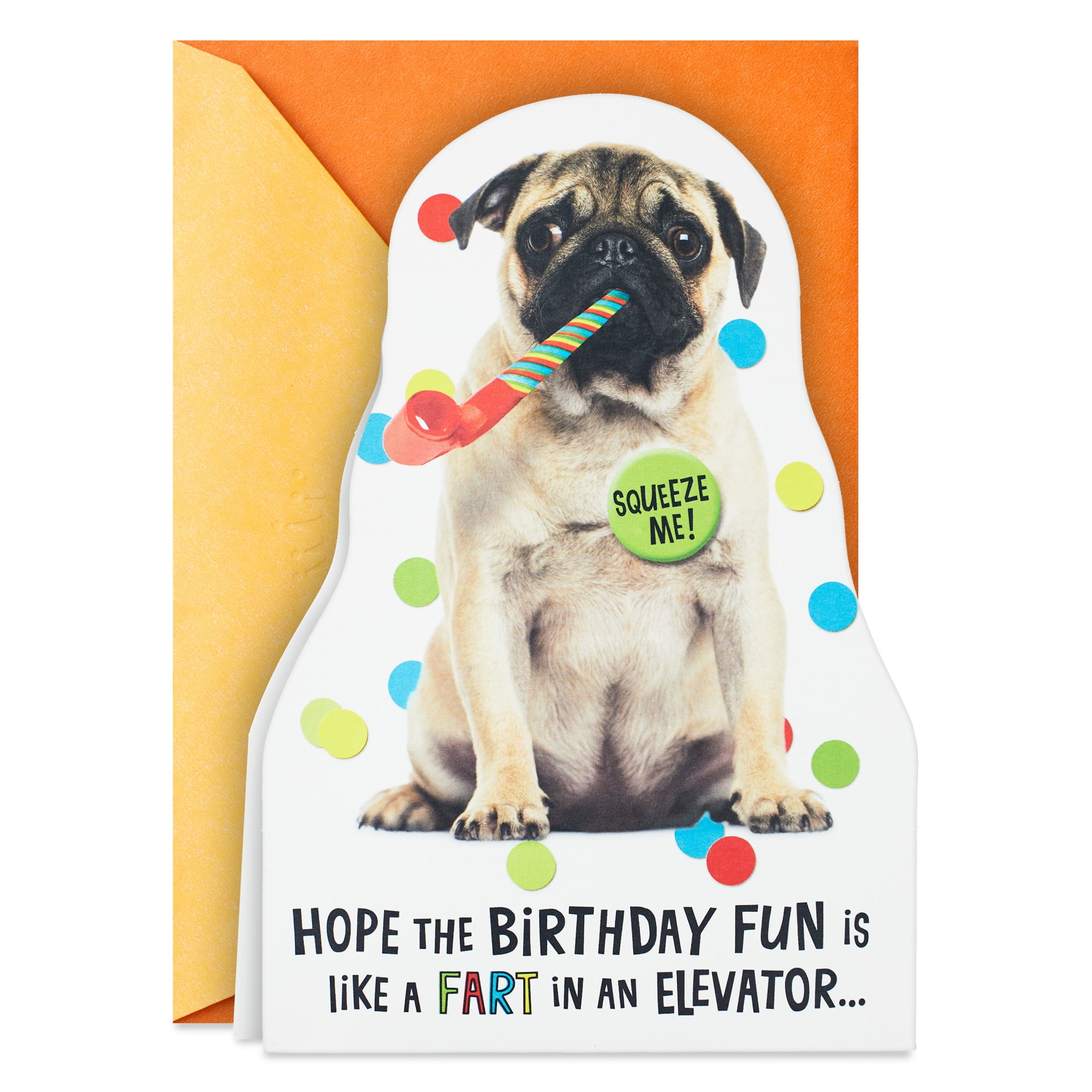 Hallmark Funny Musical Birthday Card with Sound (Impossible to Ignore)