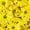 Yellow, variant on Member's Mark Pompon Daisies, 90 stems (Choose color)