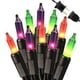 thumbnail image 1 of Cadena de luces Brizled Halloween, 100 quilates, morado/verde/naranja, 1 of 7