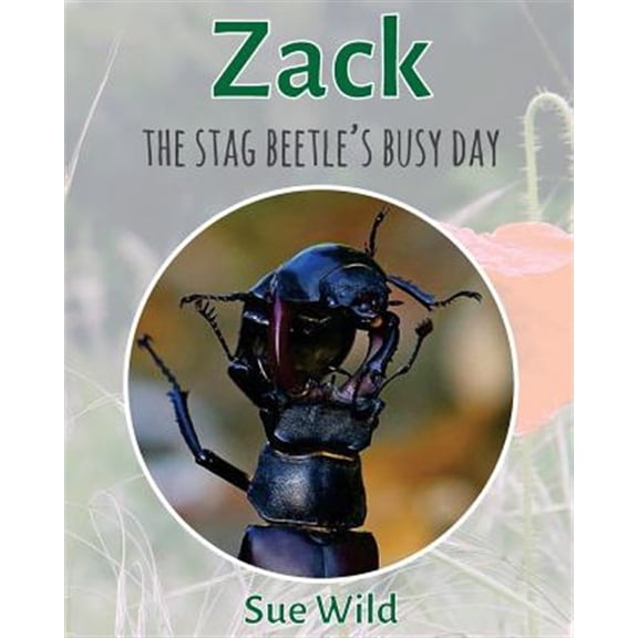 Pre-Owned Zack : The Stag Beetle's Busy Day