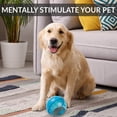 thumbnail image 2 of Pelota para perros OurPets IQ Treat Ball Alimentador lento, 2 of 24