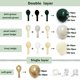 thumbnail image 4 of Kit de guirnaldas con globos Partycus, color verde esmeralda, relleno doble, 4 of 9