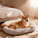 thumbnail image 4 of Manta para sofá, manta de invierno de doble capa, aislante, lavable, para perros, cama de peluche para gatos con zona de dormir integrada, almohadilla para cama para gatos, cama para perros pequeños p, 4 of 6