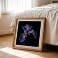 thumbnail image 6 of Blue Flag Iris - Photography Floral Botanical Flowers Nature Garden Scenic Minimalist Oak Framed Wall Art Print 8 x 8 inches, 6 of 8