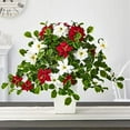 thumbnail image 3 of Nearly Natural 23in. Poinsettia and Variegated Holly Artificial Plant in Decorative Planter (Real Touch)-Color:White, 3 of 4