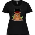 thumbnail image 3 of Inktastic Groundhog Day with Groundhog in Top Hat Women's Plus Size T-Shirt, 3 of 5