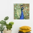 thumbnail image 2 of Peacock - Toile 24"x24 Pouces - Impression à la Demande, 2 of 5