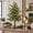 11.8in, variant on Cacostores Vintage Lighted Norfolk Pine Trees,Tabletop Christmas Decor with Warm White LED Glow, Cascading Evergreen Branches, Antique-Bronze Pedestal, Battery Operated with Remote Control