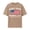 F3-Brown, variant on Havenx Casual American 250th Anniversary T-Shirt for Men American Flag Design Crewneck Shirts Short Sleeve Graphic Tshirts 250 Years Of Freedom 4th Of July Tees,Purple L