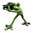 thumbnail image 2 of Miulika Resin Frog Photographer Figurine Indoor Yard Decoration Decorative Lovely Lawn Ornament for Fairy Garden Accessories Lifelike, 2 of 9