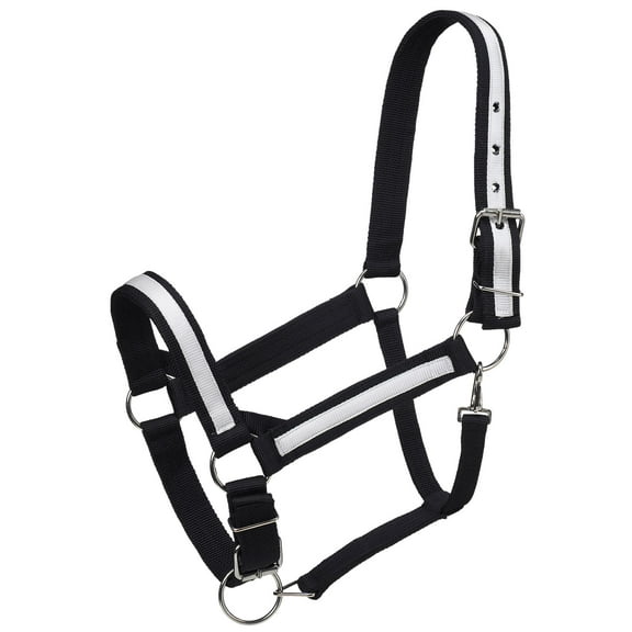 Nylon Draft Horse Halter With Overlay by JT International