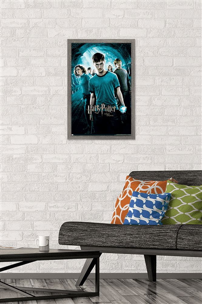 Harry Potter and the Order of the Phoenix - One Sheet (French Version) Wall Poster, 14.725" x 22.375", Framed