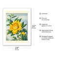 thumbnail image 2 of Yellow Hibiscus (Ma'o Hau Hele) - State Flower of Hawaii - Vintage Hawaiian Airbrush Art by Ted Mundorff c.1940s - Bamboo Fine Art 290gsm Paper Print (Unframed) 24x32in, 2 of 4