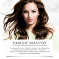 LENBGV6 Clearance Polar Hair Dye Shampoo, Polar Hair Care, Polar Hair Shampoo, Polar Haircare