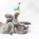 thumbnail image 4 of Juguetes Para Gatos, 10 Piezas, Varita Interactiva Para Gatos, Juguete De Pesca Retráctil Para Gatos Con 2 Postes Y 8 Cabezas De Repuesto, Juguete Para Pescar Con Caña De Pescar Para Interacción Y Kearding PT001189-00, 4 of 7