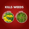 thumbnail image 6 of Spectracide One Shot Weed & Grass Killer, Ready-to-Use Spray, 32 Ounce, 6 of 15