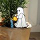 thumbnail image 1 of Complemento de decoración de plantas en macetas acrílicas | Inserto de adorno transparente | Ligero Duradero 6.7x10cm | Acento decorativo para plantas de interior | Accesorio para plantas modernas, 1 of 8