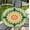 Floral Mandala, variant on Round Fitted Tablecloth with Elastic Edge, Waterproof Stain Resistant Fabric Table Cover for 36"-65" Round Table, Indoor Outdoor Dining, Kitchen Decor, Camping, Holiday, Party