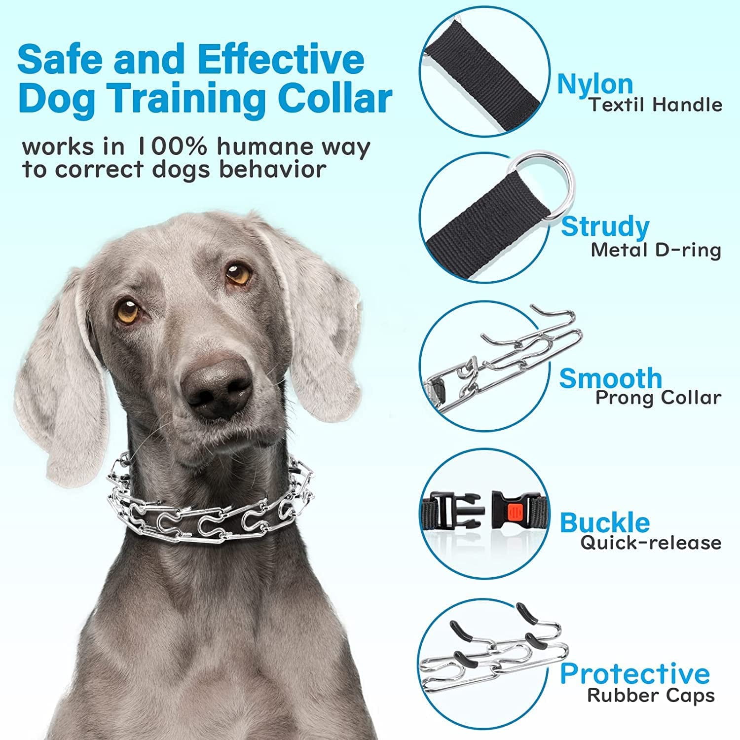 For Dogs How To Use A Prong Collar Correctly Collar Placement - Main Image