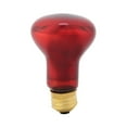 thumbnail image 1 of Infrared Heating Lamp  Heating Light Bulb  Reptile Heating Light  Infrared Bulb Emitter E27 Reptile Pet Infrared Heating Light Lamp Bulb Emitter Lamp Night Heat Bulb 110V 75W, 1 of 8
