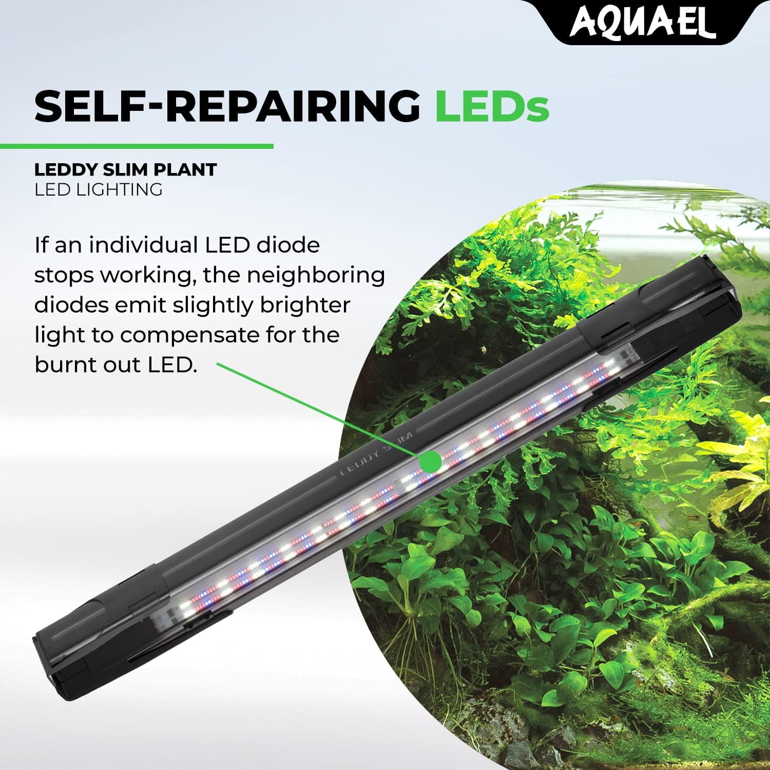 Aquael Leddy Slim Plant Premium Aquarium Light Black, 5W 8"-11.75" -  Walmart.com