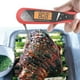 thumbnail image 3 of Termómetro digital para carne con retroiluminación magnética para parrilla rojo Gloria Termómetro de carne, 3 of 9