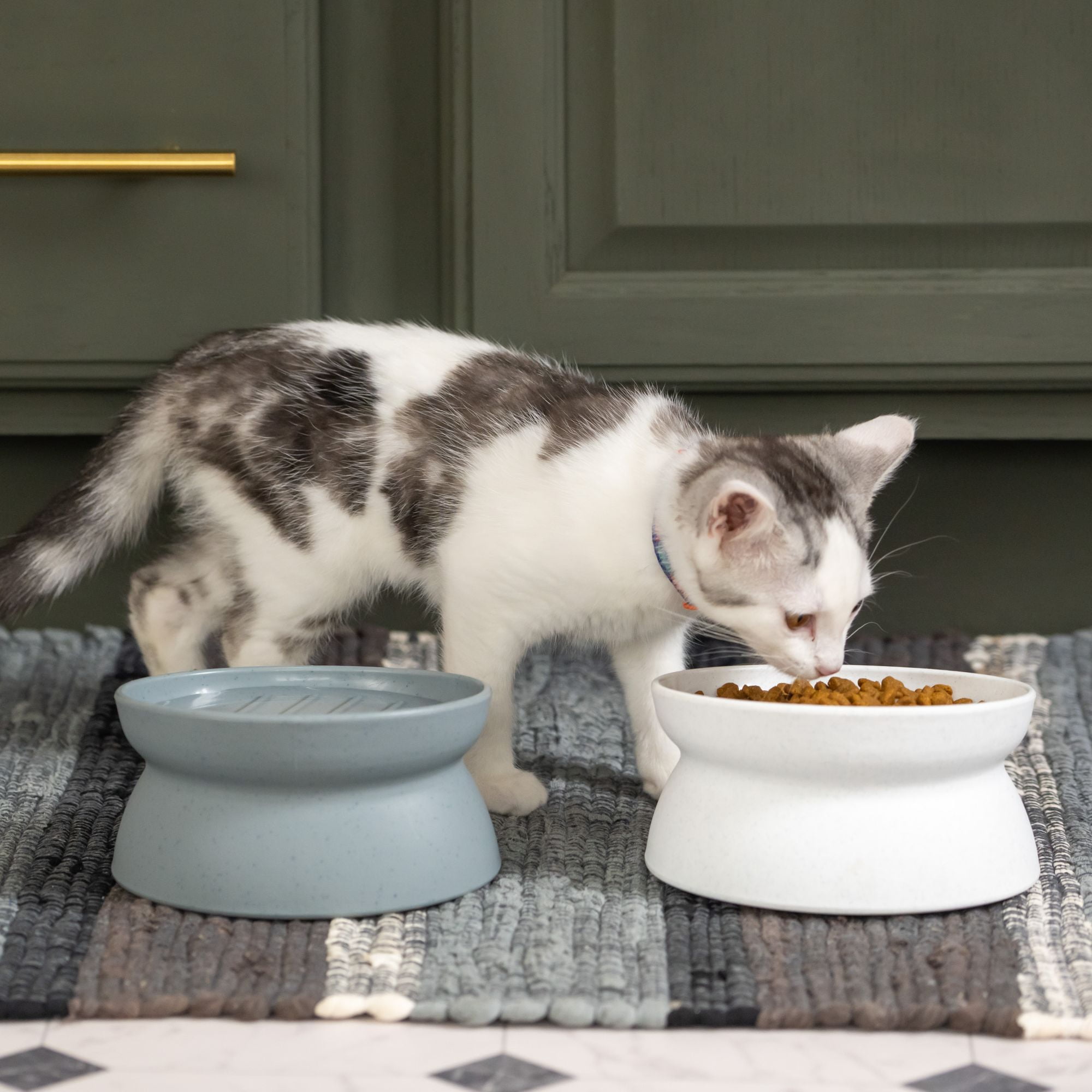 Kitty City Raised Slow-Eat Cat Bowls, Whisker-Friendly Elevated Feeding Set, 2-Pack, Small