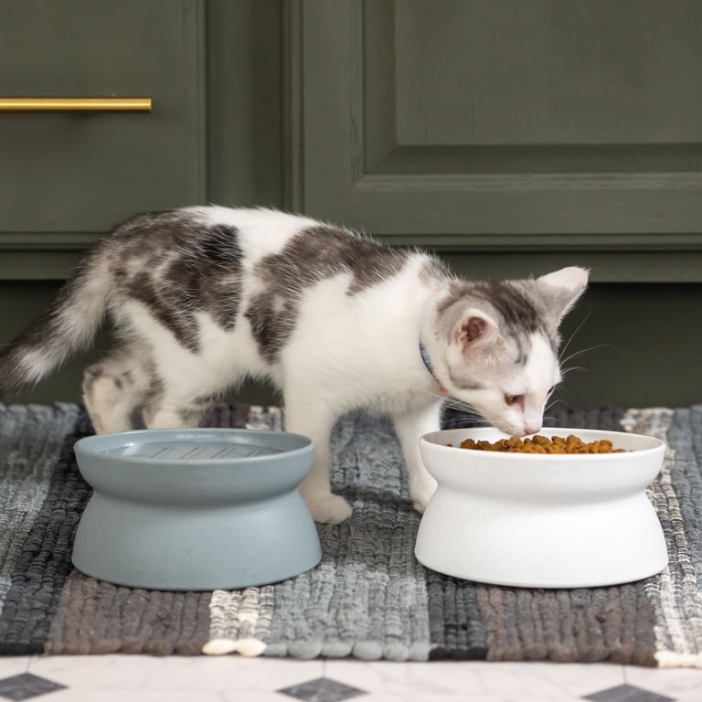 Kitty City Raised Slow-Eat Cat Bowls, 2-Pack photo 4