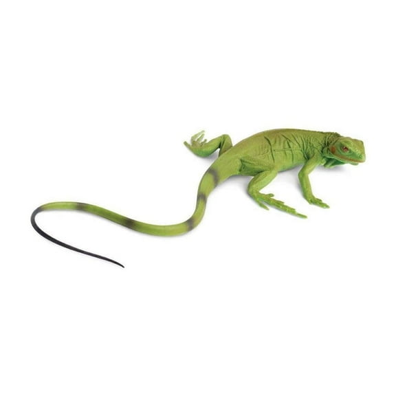 Safari Ltd. Incredible Creatures Iguana Baby Figurine - Lifelike 9.4" Model Figure - Educational Toy for Boys, Girls, and Kids Ages 3 