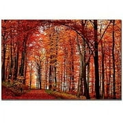 Trademark Art "The Red Way" Canvas Art by Philippe Sainte-Laudy