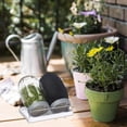 thumbnail image 2 of lanema Mason Jar Sprouting Set with Drip Tray&Light Blocking Cover for Healthy Seedling, 2 of 8