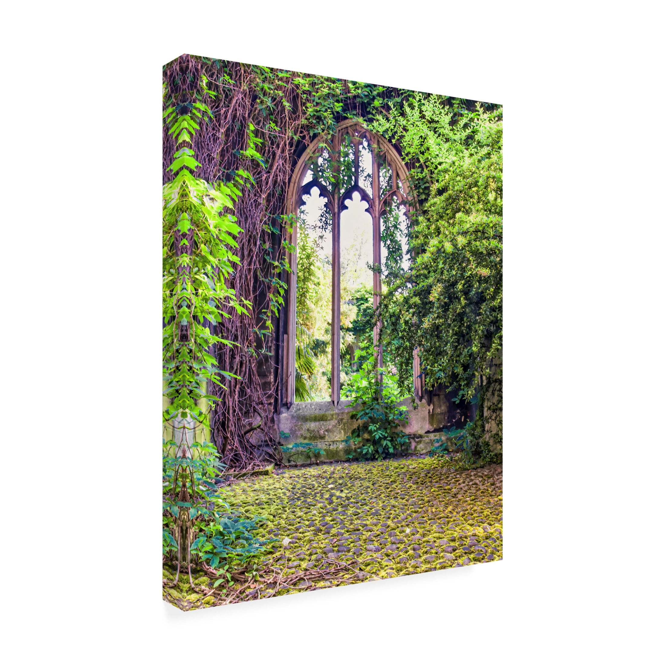 Canvas Wall Art - Mark A Paulda 'Natures Growth In St Dunstan In The East' Wall Art for Living Room, Bedroom, or Office Décor by Trademark Fine Art - 24 x 32 Inches