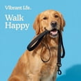 thumbnail image 4 of Vibrant Life 6' Anti-Shock Comfort Leash, Black, 4 of 10
