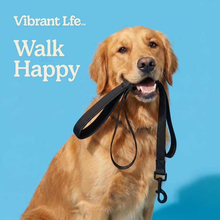 Vibrant Life 6' Anti-Shock Comfort Leash, Black photo 4