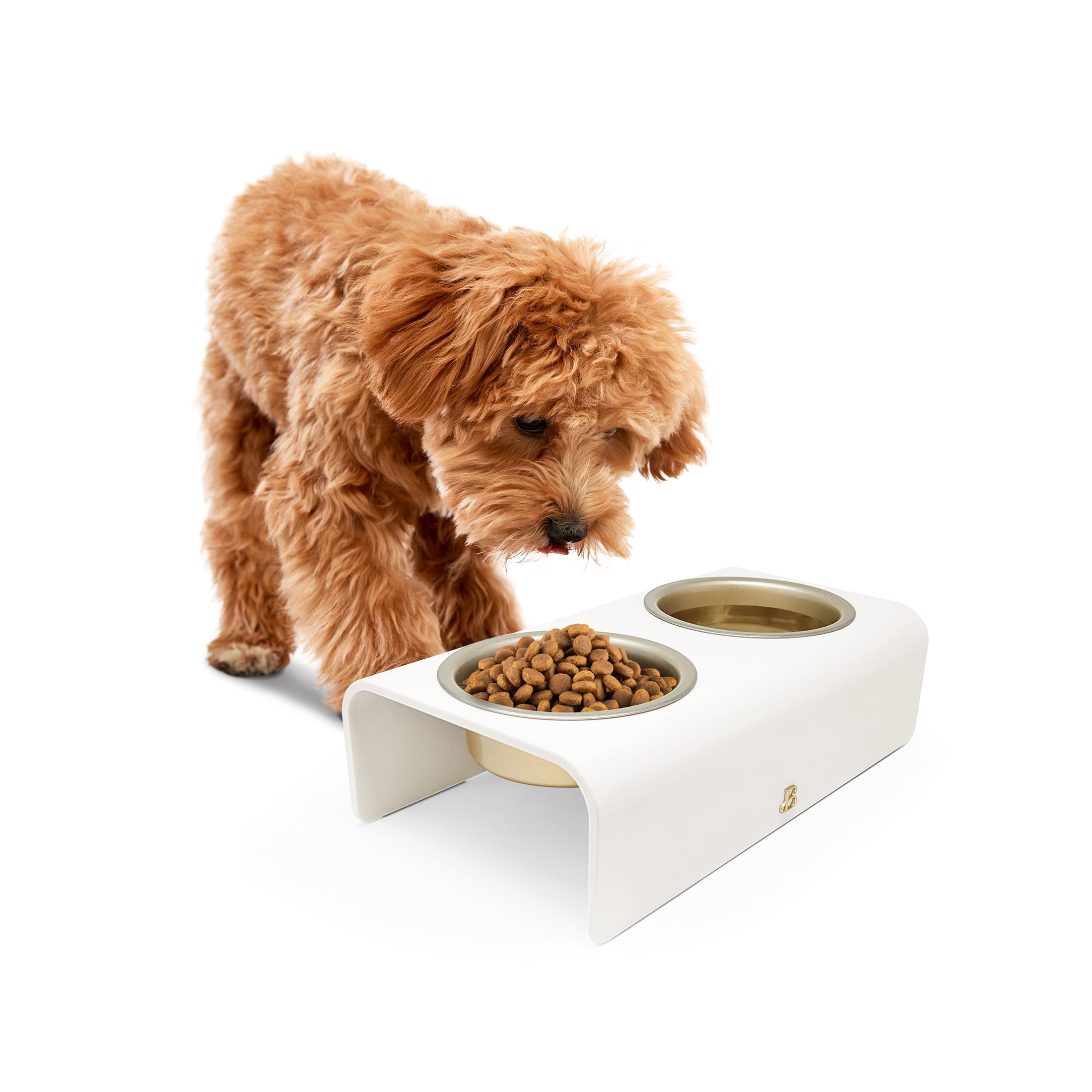 Beautiful Double Elevated Stainless Steel Pet Bowl, 3-Cup, White by Drew Barrymore