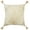 Cream/Beige, variant on Ox Bay Indoor Traditional Textured Medallion Throw Pillow, Silver Gray, 20" x 20"