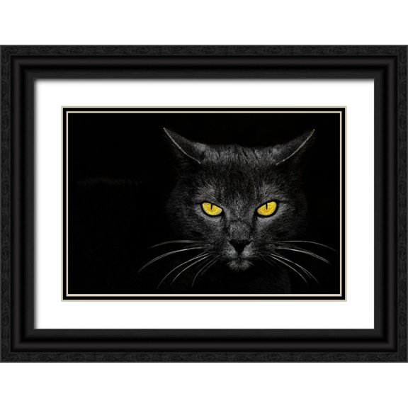Baloh, Davorin 32x23 Black Ornate Wood Framed with Double Matting Museum Art Print Titled - Monster Kill