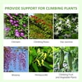 thumbnail image 4 of Outsunny 2 Pcs Garden Trellis for Climbing Plants, Outdoor Metal Trellis, 4 of 10