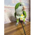 thumbnail image 5 of Bird Flight Harness Vest, Parrot Flight Suit with Leash for Cockatiels Conures Budgies, Bird Flying Clothes with Rope and Handle for Outdoor Activities Training (Yellow Vast, L), 5 of 5