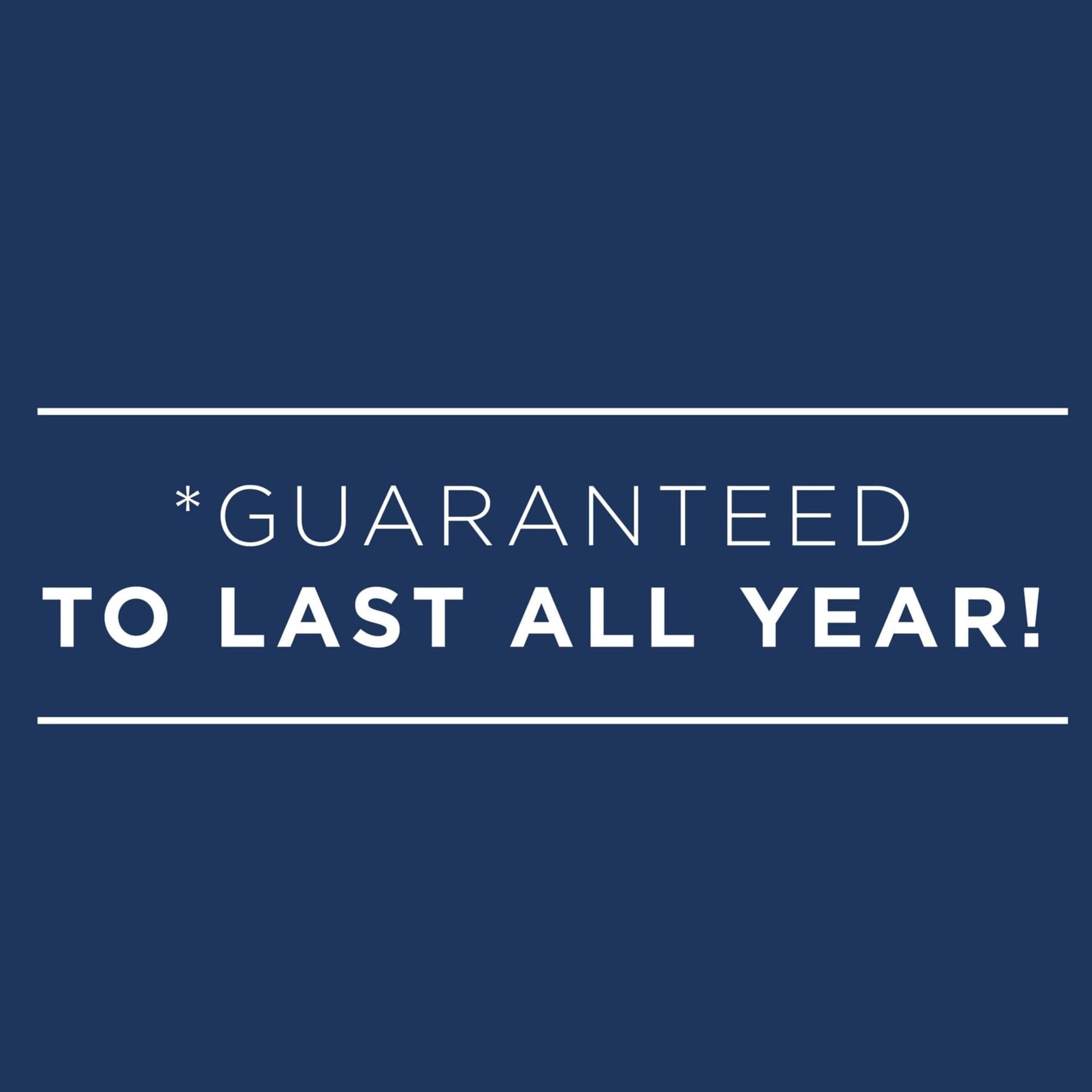 2024-2025 AT-A-GLANCE® Monthly Planner, 9" x 11", Black, January 2024 To March 2025, 7026005