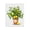Sunlit Potted Lemon Tree, variant on Stupell Industries Potted Orange Tree Canvas Wall Art, design by Shelly Craig